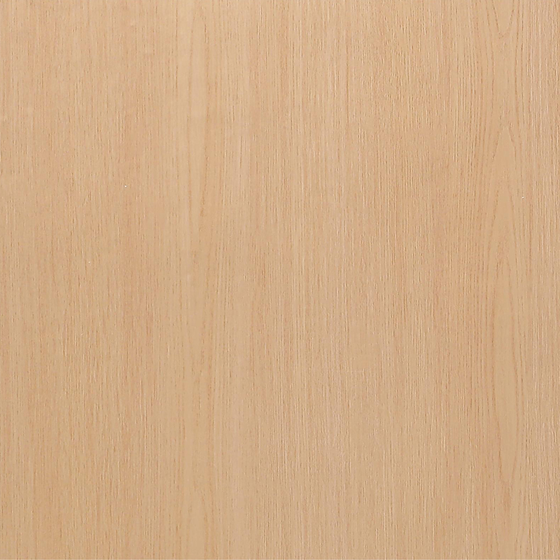 FG6004-2 فيلم داخلي