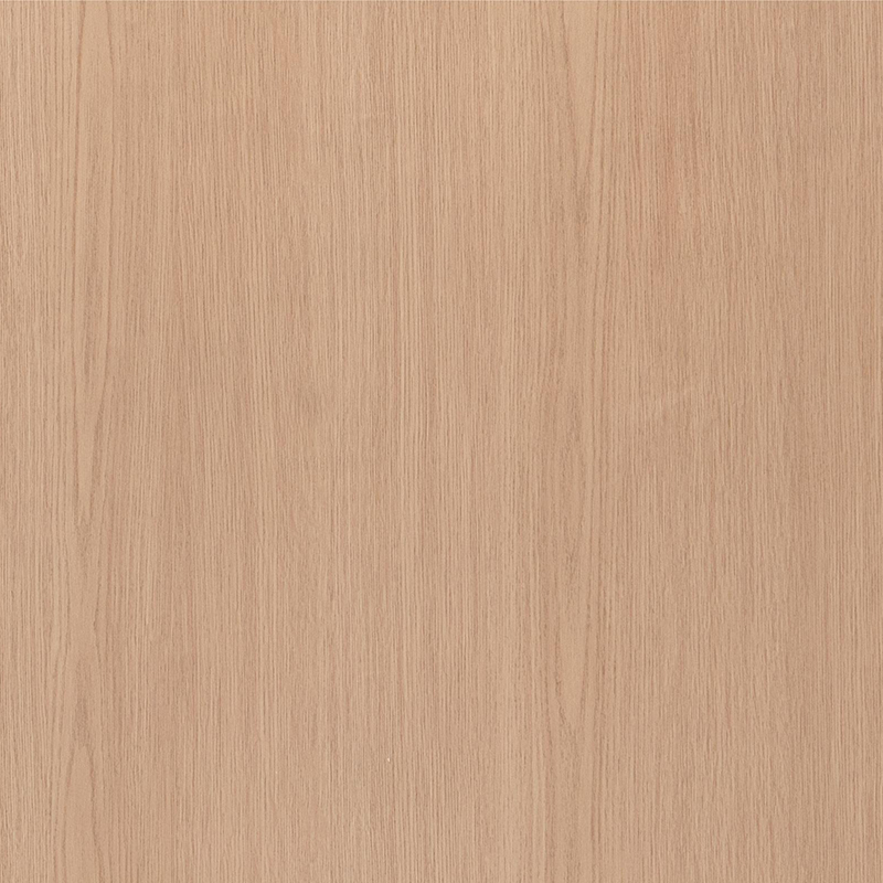 FG6004-1 فيلم داخلي