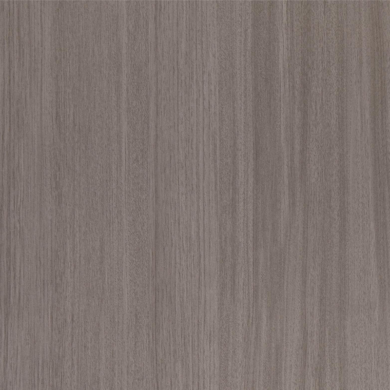 6019 فيلم داخلي 6019 فيلم داخلي