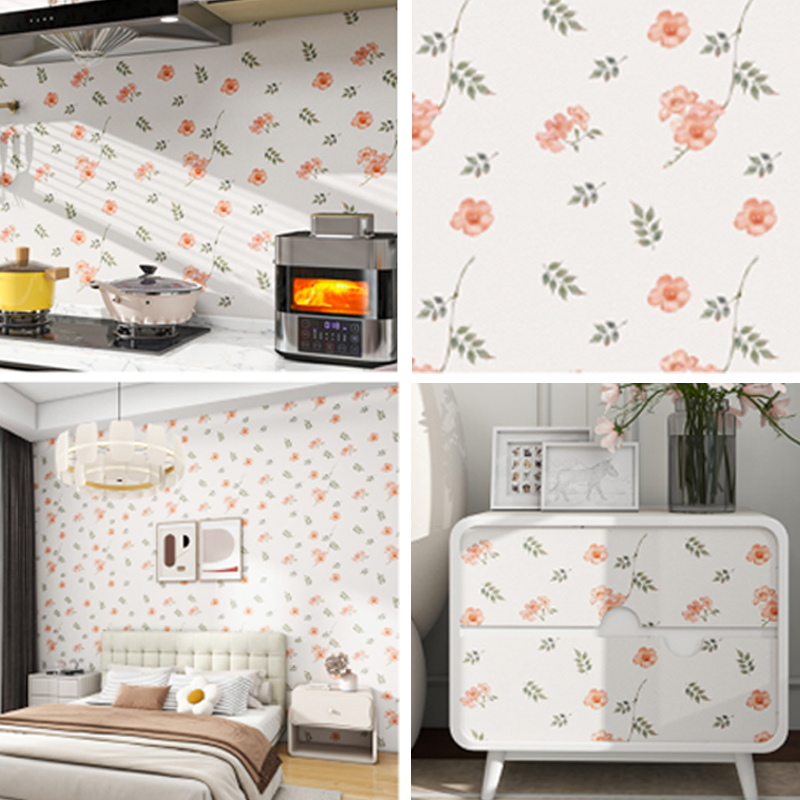 CS-24001 سلسلة أفلام الفينيل القابلة للطباعة 