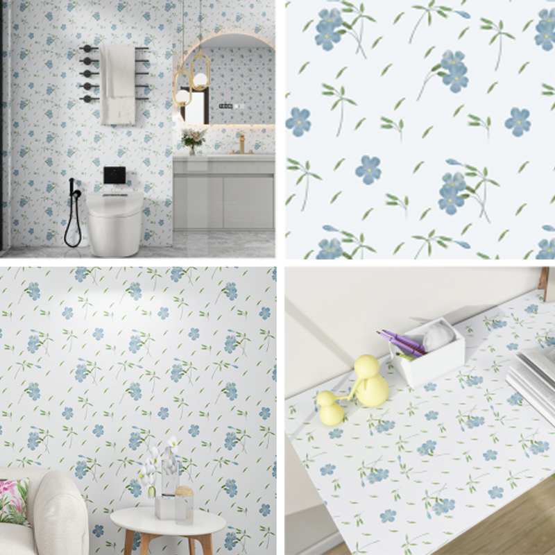 CS-24002 سلسلة أفلام الفينيل القابلة للطباعة 